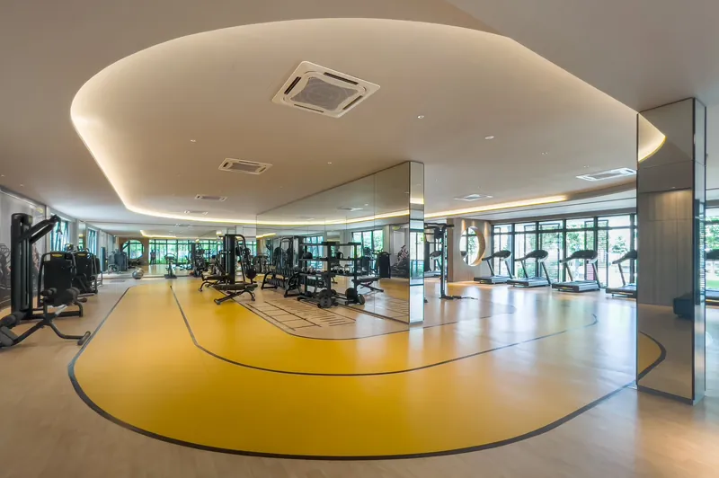M Vertica gym